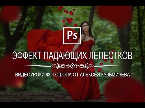 Эффект падающих лепестков в фотошопе