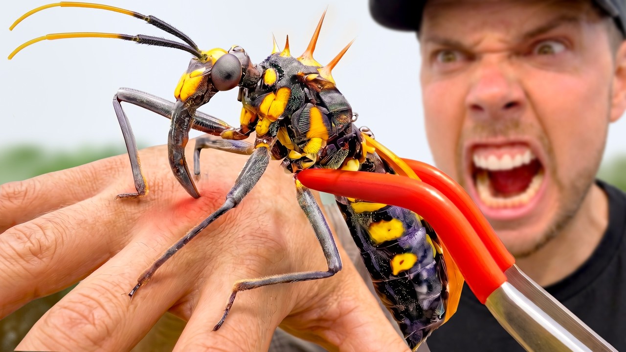 Bitten by an Assassin Hawk Bug!