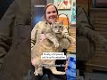 A 27-pound cat is up for adoption  - 00:32 min - News - Video