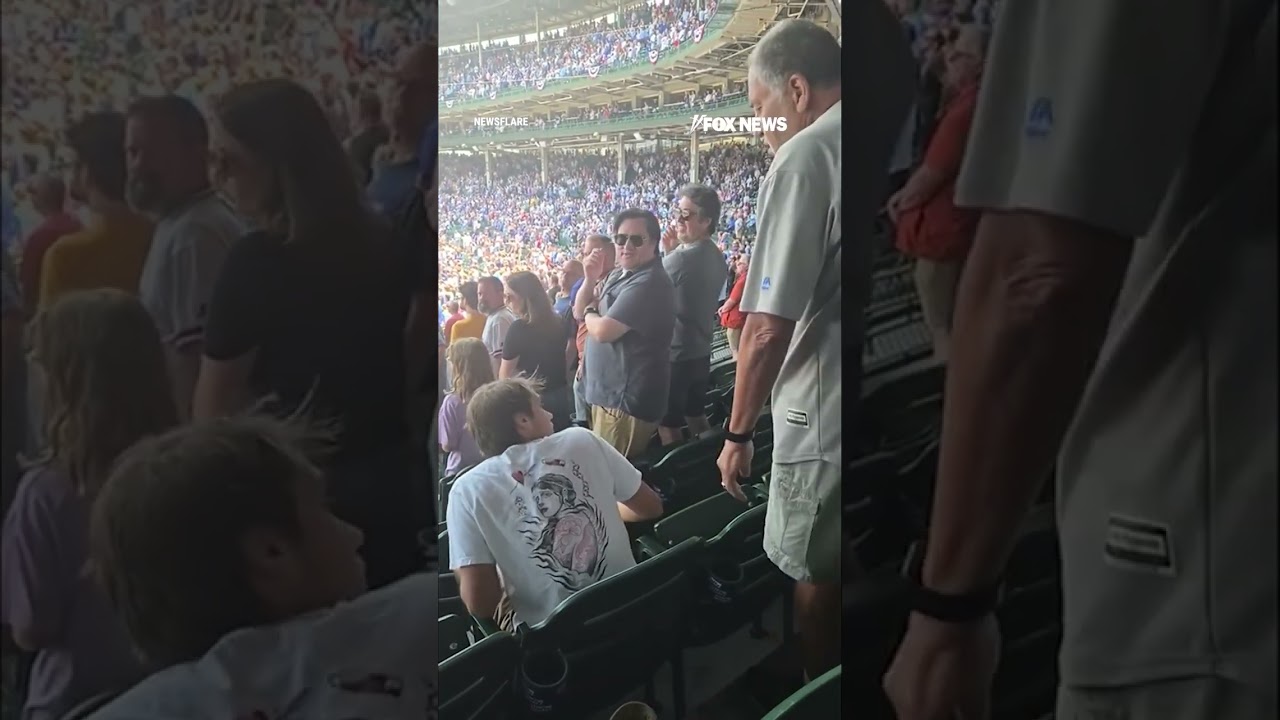WATCH: Cubs fan SLAPS spectator during national anthem