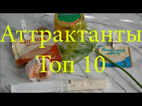 Аттрактант своими руками на карася Аттрактант своими руками на карася