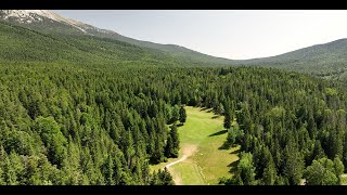 Video - overview