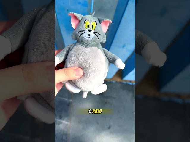 😱😾Ei gato...O que você fez com o rato 🐀 #shortsvideo #curtas #fatossobregarotos