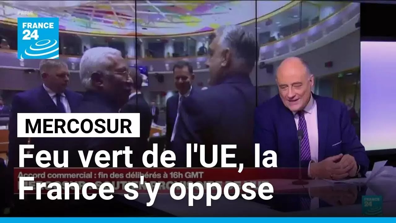 Mercosur : feu vert de l'UE malgré l'opposition de la France • FRANCE 24