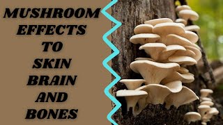 Surprising Mushroom Health Benefits for Your Skin, Brain and Bones, Amazing Mushroom Benefits
