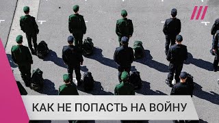 Личное: Как избежать призыва и спастись из военкомата. Советы юриста