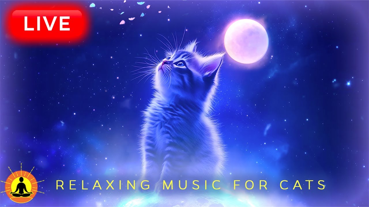 🔴 24 Hours: Relaxing Music for Cats 🐈‍⬛ NO ADS - Cat Purring | Calming Music for Cats with Anxiety