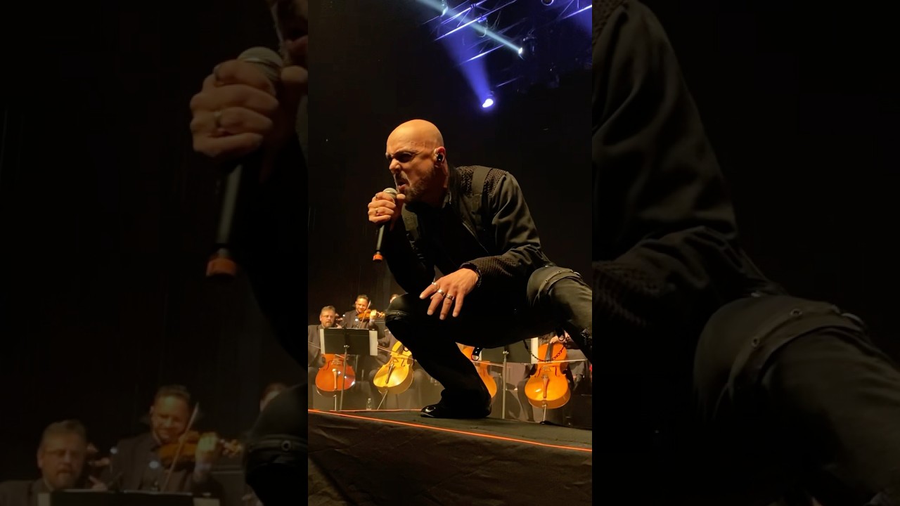ROY KHAN CANTA “MOONLIGHT” DO KAMELOT