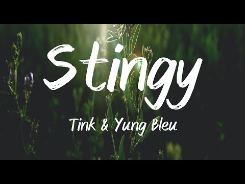 Stingy - Tink & Yung Bleu (Lyrics)