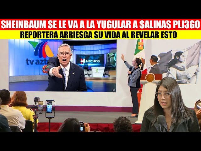 💥🚨MIRA: SE CALIENTA LA MAÑANERA,REPORTERA ARRIEGA SU VIDA AL EXHIBIR A SALINAS PLIEGO EN LA MAÑANERA