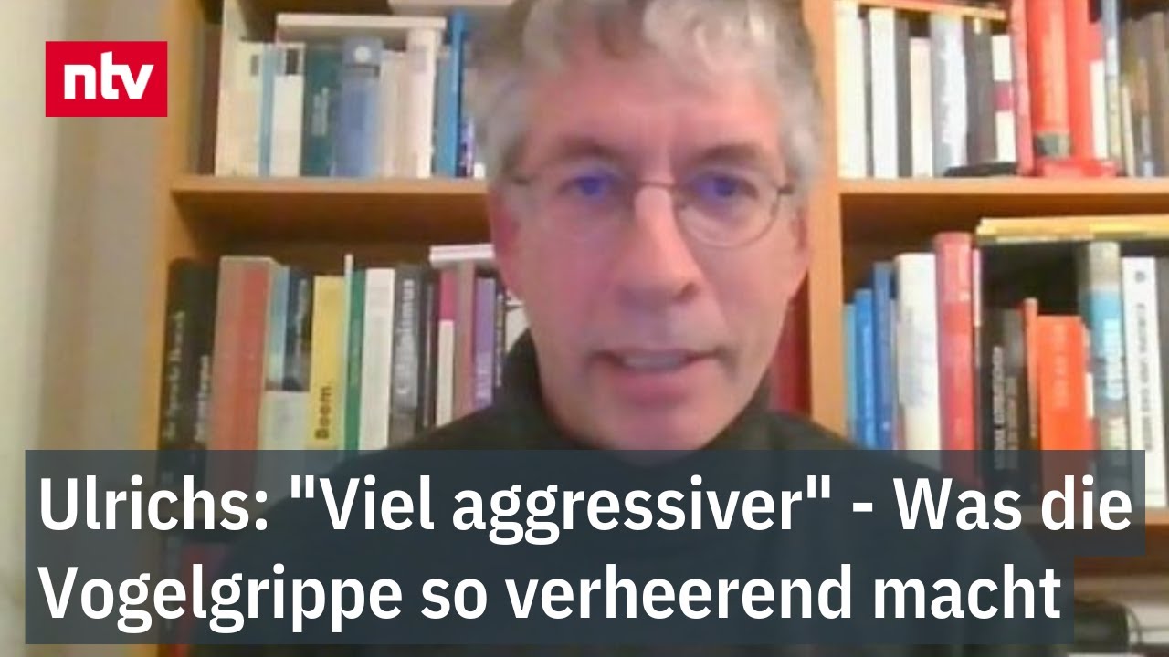 Ulrichs: "Viel aggressiver" - Was die Vogelgrippe in diesem Jahr so verheerend macht