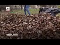 Moscow residents come out for Subbotnik by raking up the citys fallen leaves  - 00:36 min - News - Video