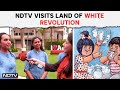 Lok Sabha Elections 2024 | A Great Experience: Employees On Working At Amul Factory