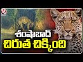 Forest Officers Finally Caught Cheetah At Shamshabad Airport | V6 News