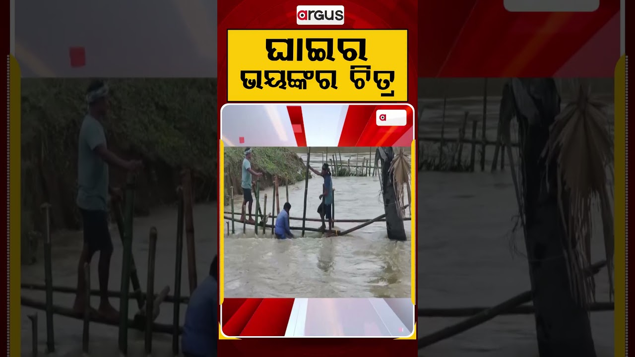 Bhadrak Flood: Brave Locals Risk Lives to Repair Embankment Breach Amid Raging Water | Argus News