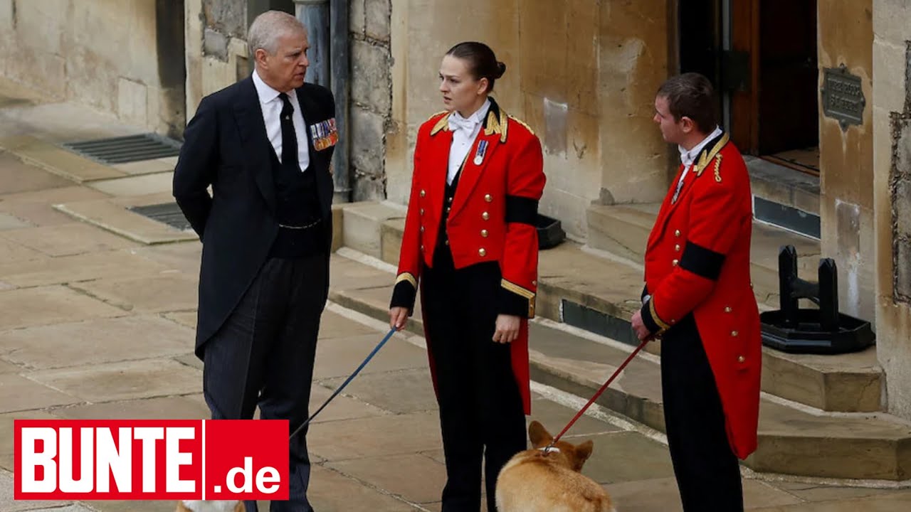 Das passiert mit Corgis der Queen nach Andrews Auszug