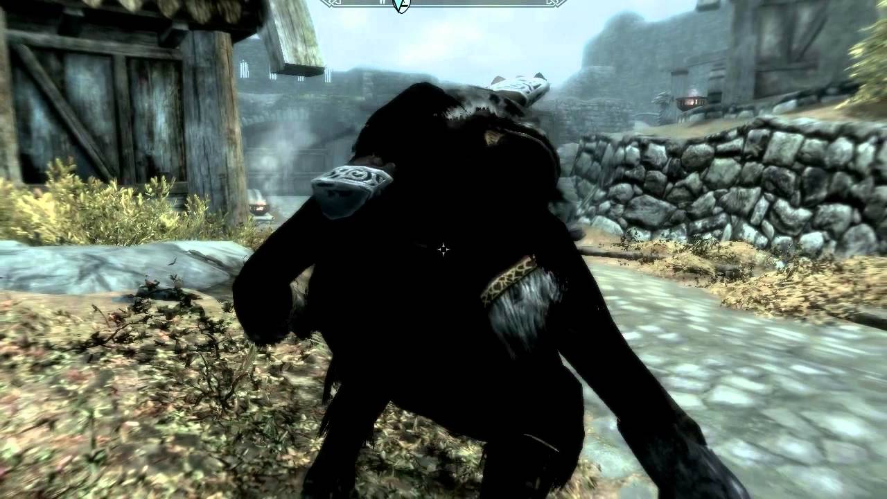 Nazeem Skyrim