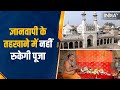 Gyanvapi Case में मुस्लिम पक्ष को झटका, Allahabad High Court ने कहा- तहखाने में जारी रहेगी पूजा