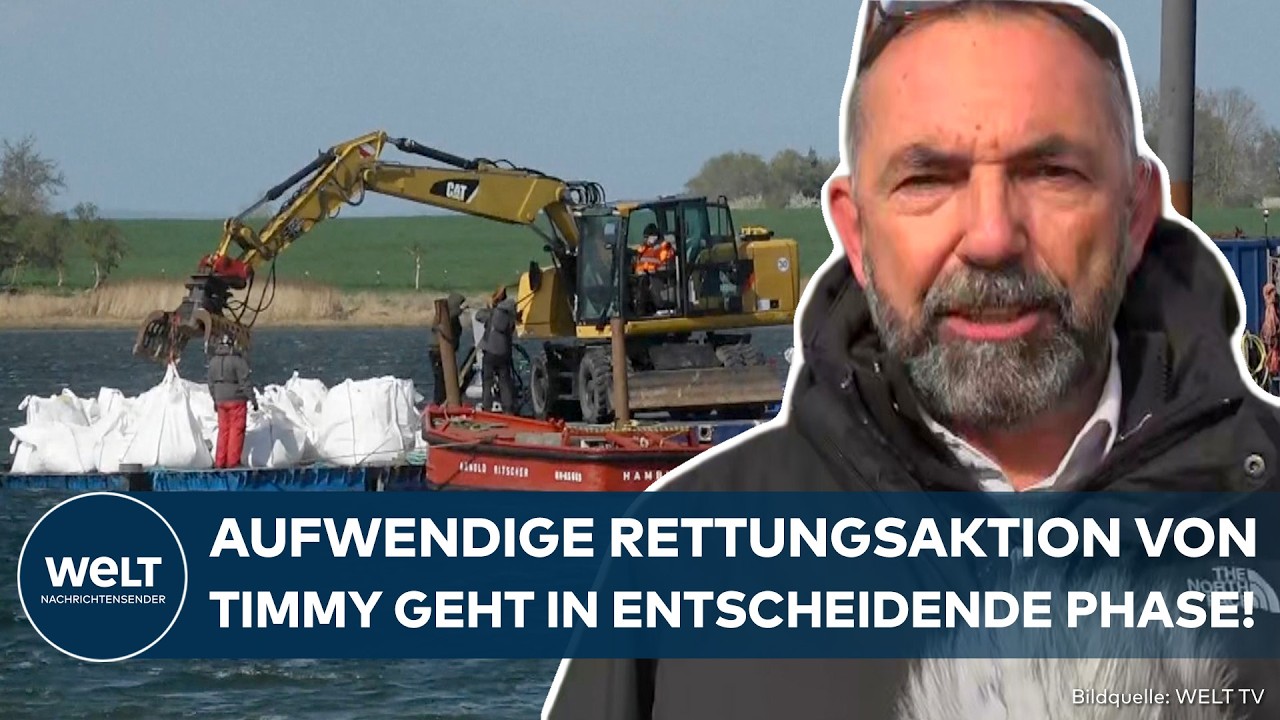 HOCHSPANNUNG VOR POEL: Warten auf die Flut! Rettung von Wal Timmy geht in entscheidende Phase