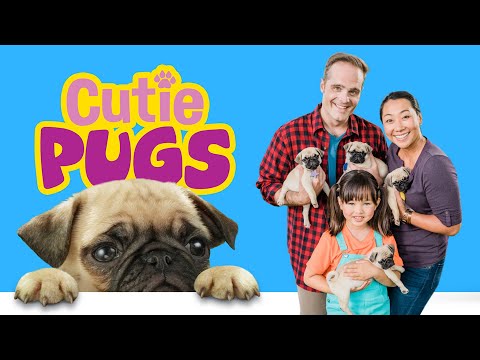Cutie Pugs'