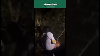 Giải cứu người phụ nữ đi lạc hơn 10 ngày trong rừng sâu | SKĐS