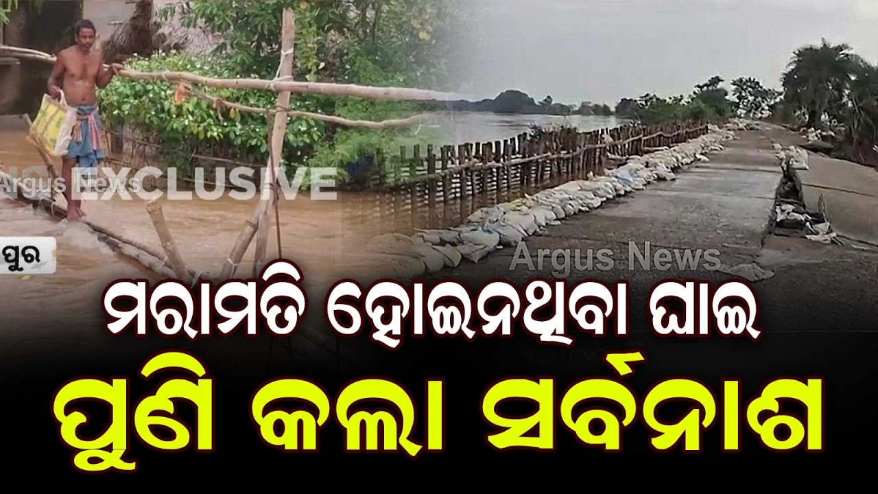 Baitarani Flood | 62 Villages Submerged In Dasharathpur, Unrepaired Embankment Breaches Cause Havoc
