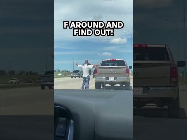 When you thought you were an Alpha #dashcam #roadrage #funny
