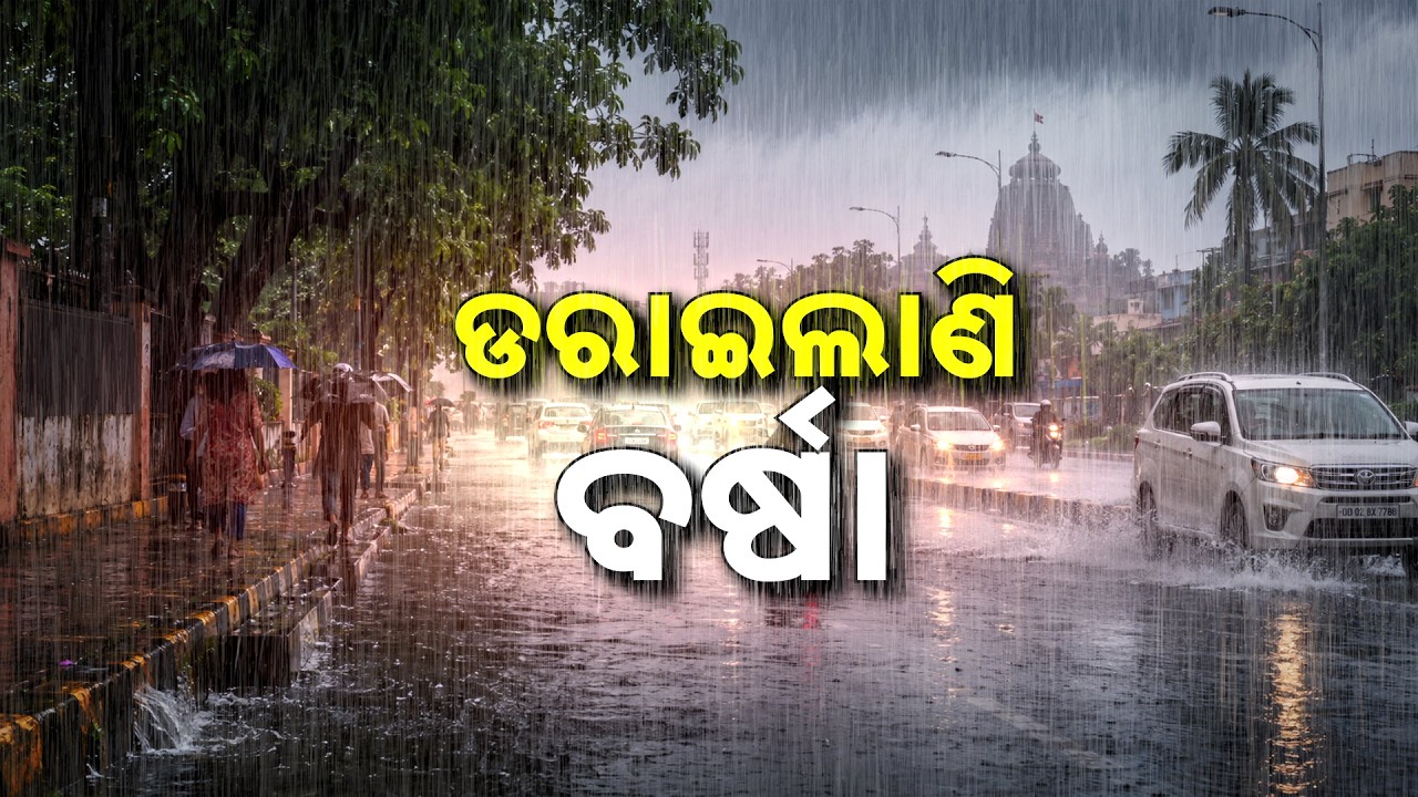 🔴Live | ଆଗାମୀ ୩ଘଣ୍ଟା ପାଇଁ ୧୨ଜିଲ୍ଲାକୁ ୟେଲୋ ଓ୍ବାର୍ଣ୍ଣିଂ | Odisha Weather Alert | Argus News