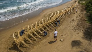 Отодвиньтесь, Мегалодон — Ученые нашли что-то большее