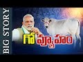 Big Story : Narendra Modi New Survey on Cow Protection