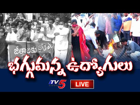 Live: AP Employees protest against PRC