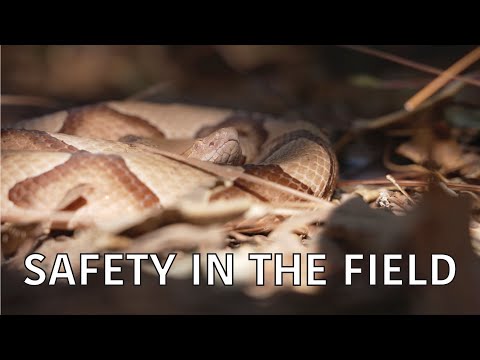 screenshot of youtube video titled Coastal Kingdom | Season 4, Episode 6 – ‘Safety in the Field’ | Full Episode