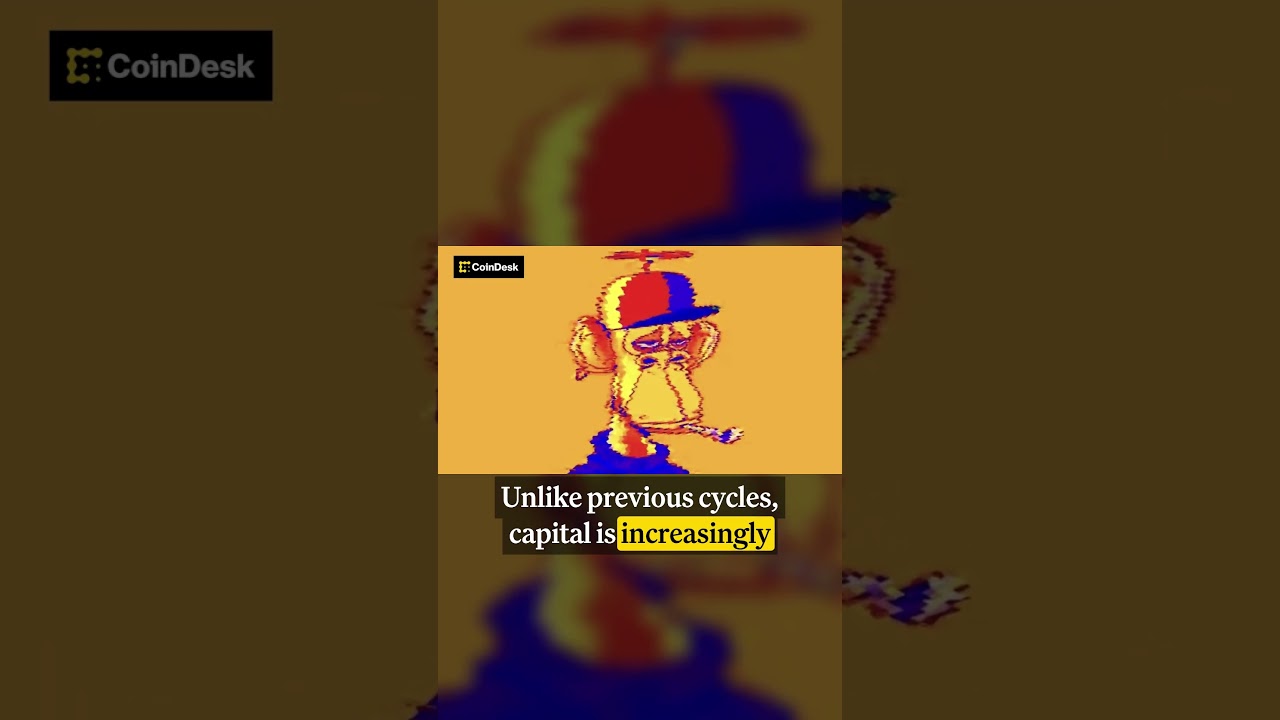 Steve Aoki Liquidates Crypto and Fake App Drains $9.5 Million