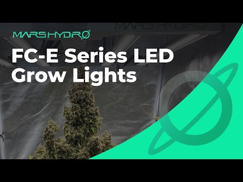 Enhance your gardening success with the Power of FC-E Series LED Grow Lights!