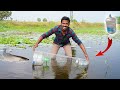 Fish Trap        Working   Simple Fish trap with Old water can..! MmK