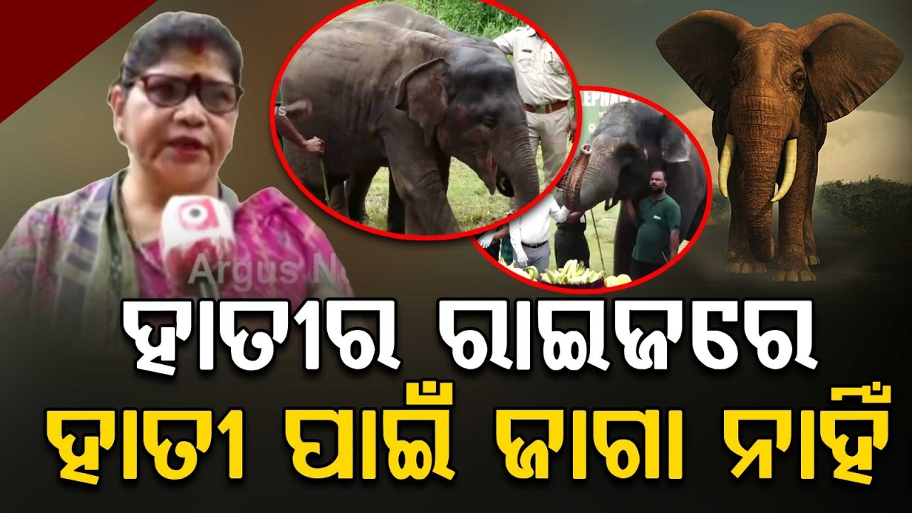 World Elephant Day 2026: Special Celebrations At Nandankanan Zoo | Argus News