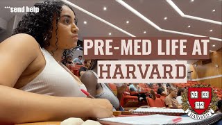 realistic PREMED life at HARVARD *it sucks* | mayalauren