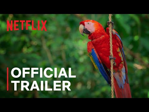 Life in Colour with David Attenborough'