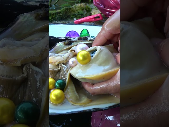 Digging for pearls in such a place is a pleasure