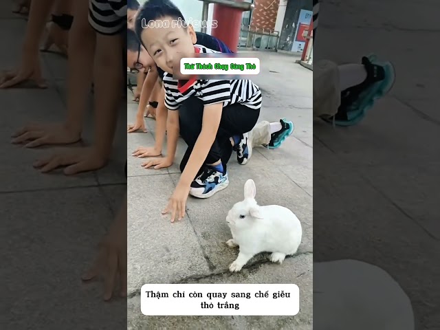 Các Em Học Sinh Chạy Đua với Thỏ
