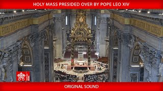 León XIV: La esperanza cristiana mira más allá, el Papa Francisco ha dado testimonio