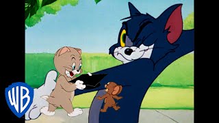 Tom a Jerry - Lekce doma