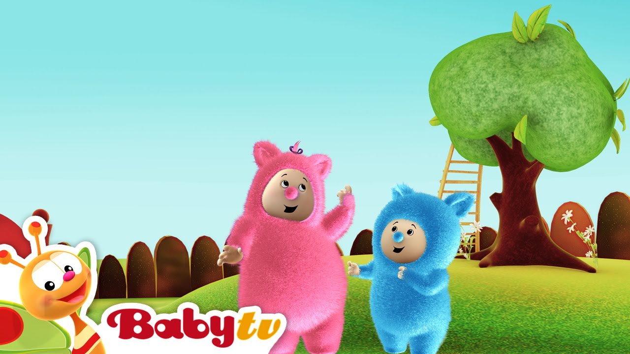 Billy Bam Bam vont à la cueillette aux orange- BabyTV (Français) - YouTube