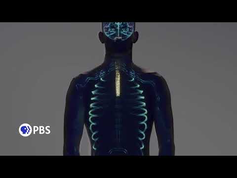 Human: The World Within'