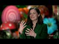 Wonka cast on bringing world of young Willy Wonka to life  - 05:15 min - News - Video