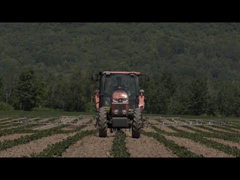 Video: Trailer for Real Farm Lives season two. Video: Trailer for Real Farm Lives season two.