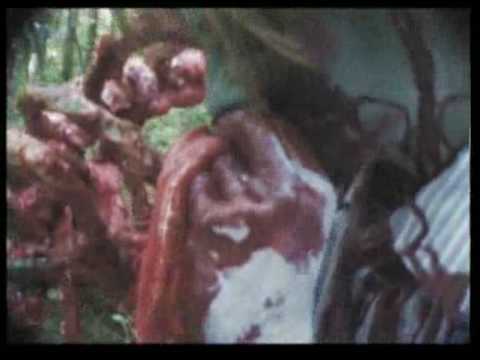 Zombie Cult Massacre'