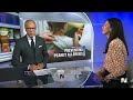 New evidence that feeding the youngest children peanut products can reduce allergies  - 01:06 min - News - Video
