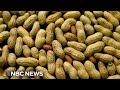 New evidence that feeding the youngest children peanut products can reduce allergies