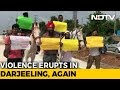 To Protest Bad Roads, Hyderabad Techies Rode Horses To Work